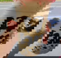 Tastea Taiwan - Box Hill - Surfers Paradise Gold Coast