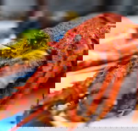 Freycinet Marine Farm - Surfers Paradise Gold Coast