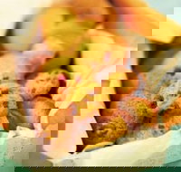 Mrs. Fields - Joondalup - Joondalup - Surfers Paradise Gold Coast