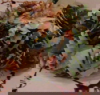 Angies Italian Kitchen - Surfers Paradise Gold Coast