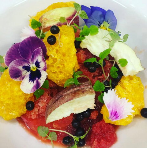 The Lazy Goose - Surfers Paradise Gold Coast 0