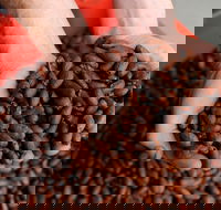 Zokoko Chocolate and Espresso Cafe - Surfers Paradise Gold Coast