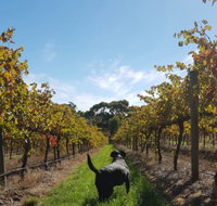 Ruddenklau Wines - Surfers Paradise Gold Coast