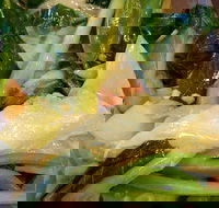 Victoria Noodle Restaurant