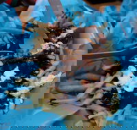 Hampton Wine Co - Surfers Paradise Gold Coast