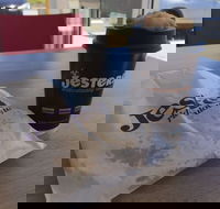 Jesters - Canning Vale - Surfers Paradise Gold Coast