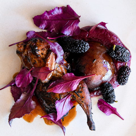 Osteria Il Coccia - Surfers Paradise Gold Coast 2