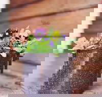 The York Mill - Surfers Paradise Gold Coast