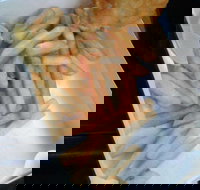 Daily Catch - Surfers Paradise Gold Coast