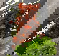 Royal India Restobar - Surfers Paradise Gold Coast