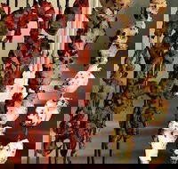 The Spice Yard - Surfers Paradise Gold Coast