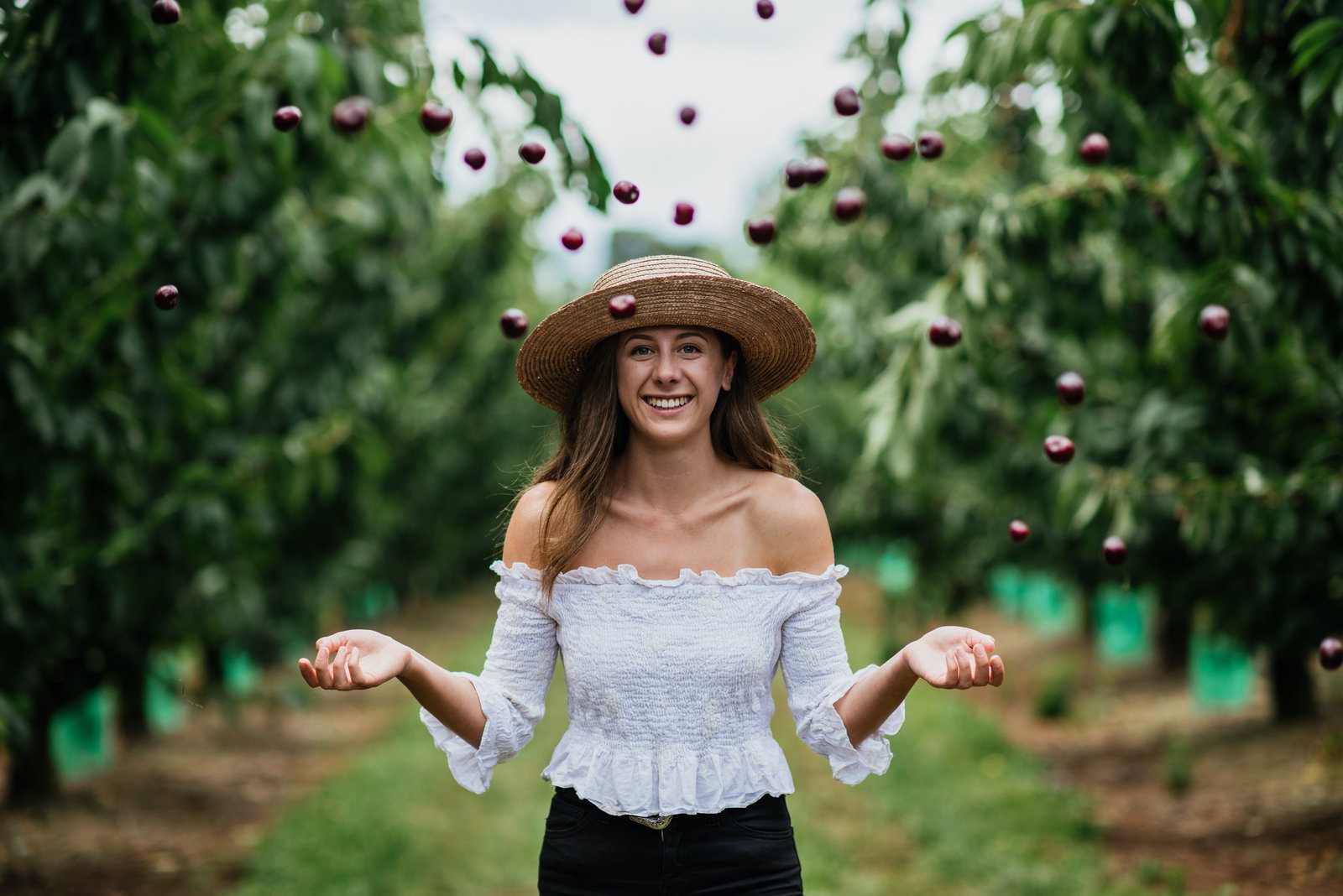 Wandin East VIC Surfers Paradise Gold Coast