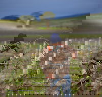 Kurtz Family Vineyards - Surfers Paradise Gold Coast