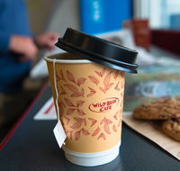 Wild Bean Cafe - Camperdown - Surfers Paradise Gold Coast