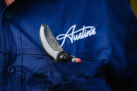 Austin's Wines - Surfers Paradise Gold Coast 2