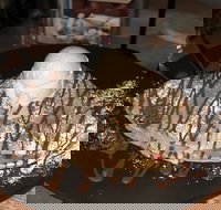 Bay Vista- Brighton-Le-Sands - Brighton-Le-Sands - Surfers Paradise Gold Coast