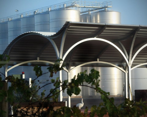 Andrew Peace Wines - Surfers Paradise Gold Coast 2