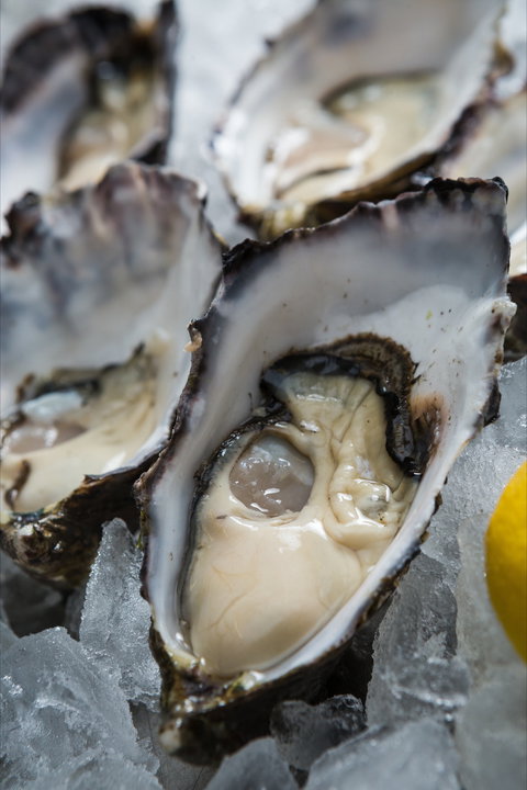 Lobster Shack Tasmania - Surfers Paradise Gold Coast 1