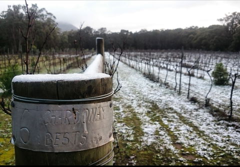 Mount Buninyong Winery - Surfers Paradise Gold Coast 1