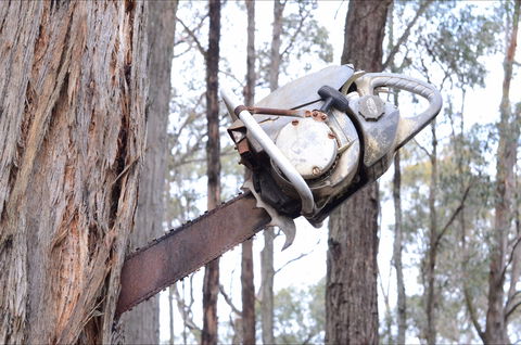 Mount Buninyong Winery - Surfers Paradise Gold Coast 2