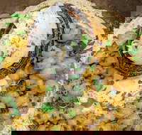 Chef and Shuka - Surfers Paradise Gold Coast