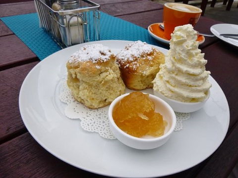 Mogo Pies - Surfers Paradise Gold Coast 1