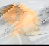 Latin Foods and Wines - Surfers Paradise Gold Coast