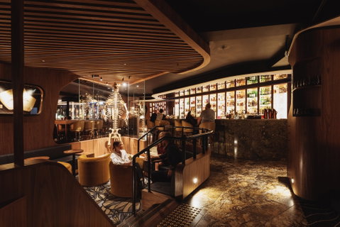 Evolve Spirits Bar - Surfers Paradise Gold Coast 0