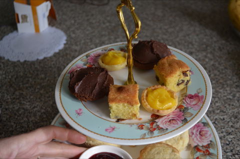 Lazy Teas - Surfers Paradise Gold Coast 1