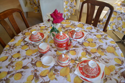 Lazy Teas - Surfers Paradise Gold Coast 2