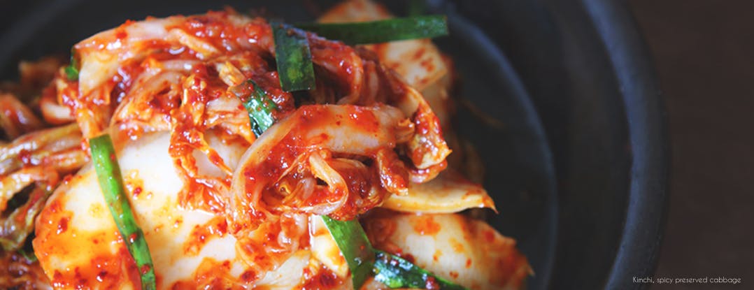 Wattle Park VIC Surfers Paradise Gold Coast