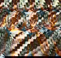 Farmer's Bakehouse - Surfers Paradise Gold Coast