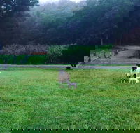 Goat Hill Farm - Surfers Paradise Gold Coast