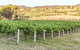 Guneemooroo Estate - thumb 2