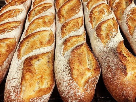 Rottnest Bakery - Surfers Paradise Gold Coast 2