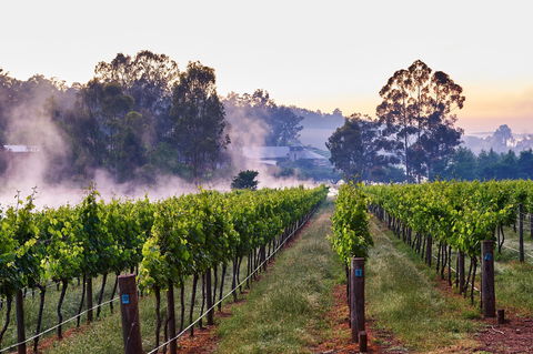 Millbrook Winery - Surfers Paradise Gold Coast 2