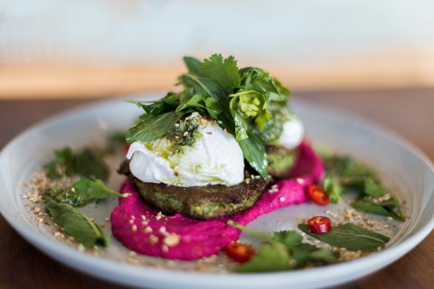 Native - Surfers Paradise Gold Coast 1