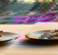 Bellottis Italian Dining - Cascades Motor Inn - Surfers Paradise Gold Coast