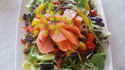 Thurlby Herb Farm Cafe - Surfers Paradise Gold Coast 0