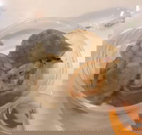 Mr Kitchen - Box Hill - Surfers Paradise Gold Coast