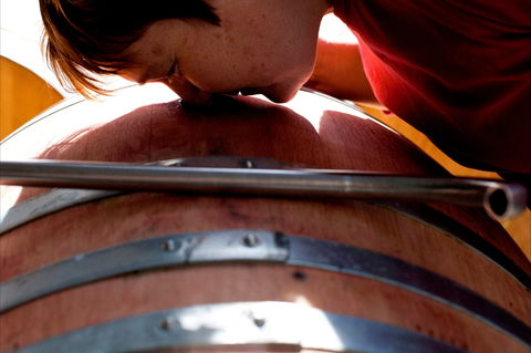 Yarrh Wines - Surfers Paradise Gold Coast 2