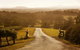 Petersons Wines - thumb 0