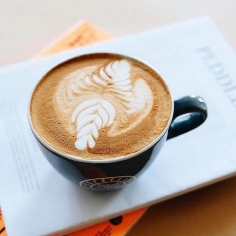 Espresso Warriors Gregory Hills - Surfers Paradise Gold Coast 1