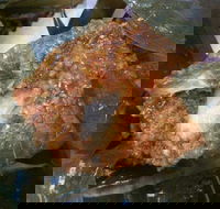 Ms Bean - Surfers Paradise Gold Coast