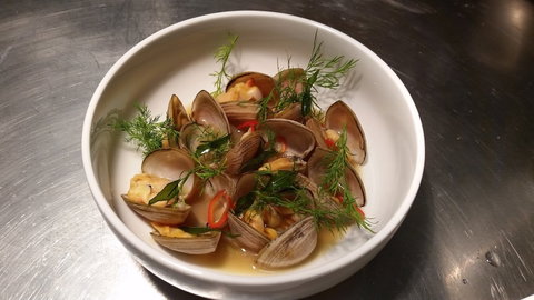 Anchovy - Surfers Paradise Gold Coast 0