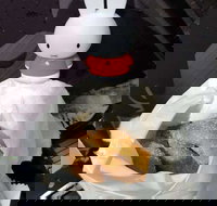 Lil' Orbit - Surfers Paradise Gold Coast