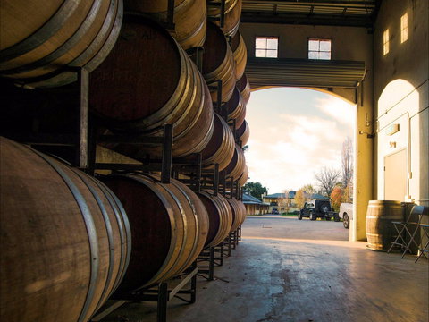 Eling Forest Cellar Door And Cafe - Surfers Paradise Gold Coast 2