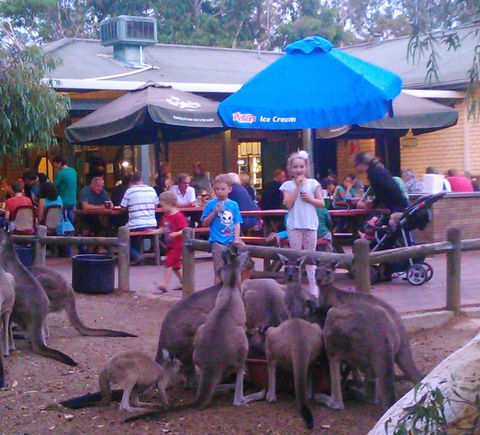 John Forrest Tavern - Surfers Paradise Gold Coast 1