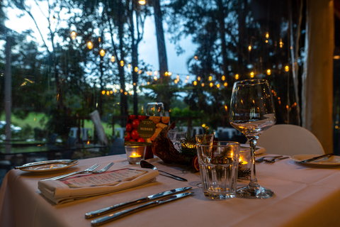 Rainforest Restaurant And Lounge Bar - Surfers Paradise Gold Coast 1