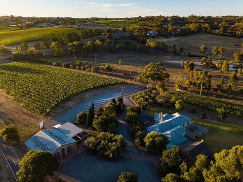 Shingleback Wine - Surfers Paradise Gold Coast 0